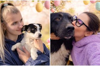 Campanie de donatii pentru cainii abandonati din Tulcea fiecare contributie conteaza