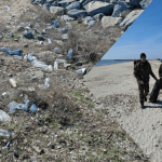 Delta Dunariei asediata de deseuri zeci de saci adunati de voluntari si inspectori foto