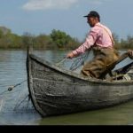 Lovitura pentru pescarii din Delta Dunarii Aproape 40 risca sa isi piarda permisul din cauza capturilor fantoma