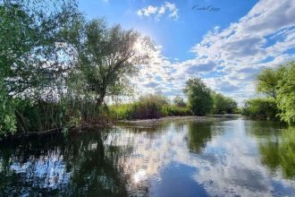 Numarul vizitatorilor din Delta Dunarii s a aproape dublat in ultimul decenie Cum isi justifica autoritatile aceasta crestere