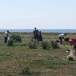 Tone de alimente ajung la gunoi deseurile alimentare amintesc fauna deltei dunarii atrage atentia arbdd