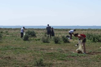 Tone de alimente ajung la gunoi deseurile alimentare amintesc fauna deltei dunarii atrage atentia arbdd