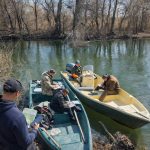 controalele continua in delta dunarii amenzi de 4200 de lei si 45 kg de peste confiscate