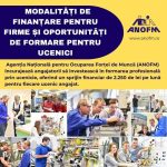 Angajatorii din Tulcea vor primi 2250 lei pe luna pentru fiecare ucenic angajat prin programele ANOFM in 2026