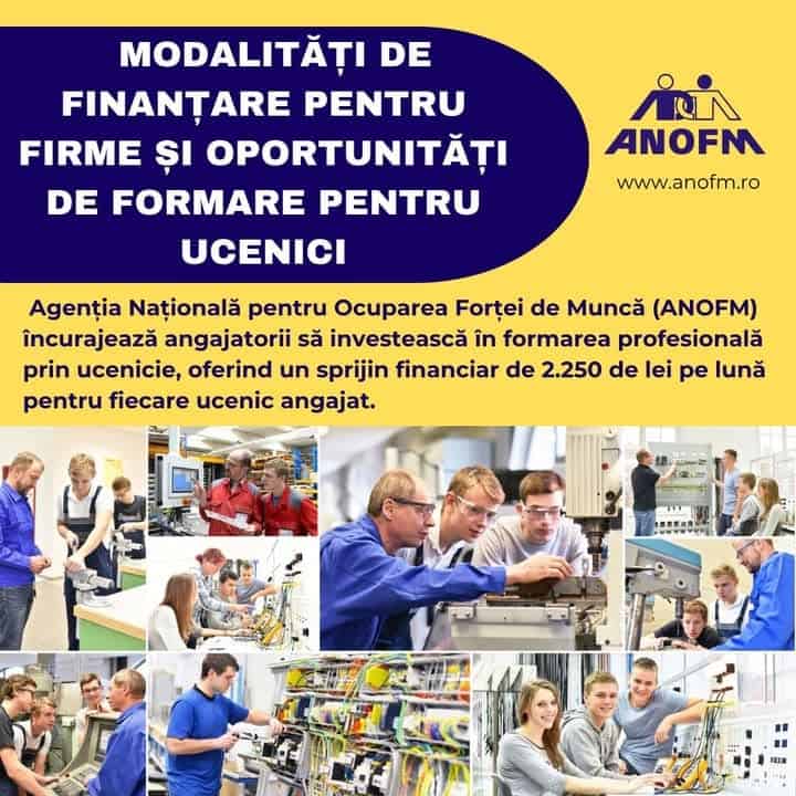 Angajatorii din Tulcea vor primi 2250 lei pe luna pentru fiecare ucenic angajat prin programele ANOFM in 2026