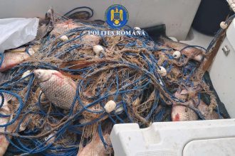 Captura ilegala de sarbatori sute de metri de plase si zeci de kilograme de scrumbie descoperite pe Dunare in apropierea Floriilor