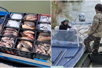 Capturi ilegale masive in Delta 90 kg de scrumbie confiscate plase retrase si amenzi de 4000 de lei