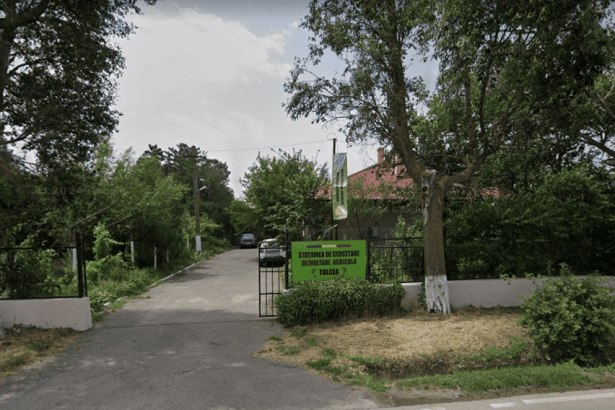 Cauti un loc de munca in Tulcea 6 pozitii disponibile la Statiunea de Cercetare Dezvoltare Agricola Calendarul complet al concursului