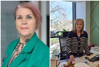 Doi copaci duzi taiati pe Aleea Albatros din C5 ridica intrebari viceprimarul promite un nou loc de joaca si replanteaza copaci