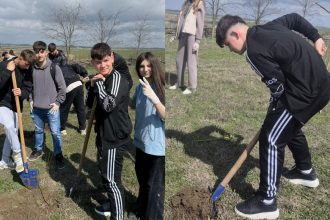 Elevii unui liceu din Tulcea sau apucat de treaba puieti de salcam si corcodus plantati in zona Satului Pescaresc foto