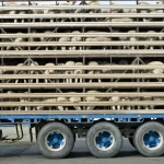 Exporturile de ovine din Romania catre Algeria ajung la un record de peste un milion de capete in 2027