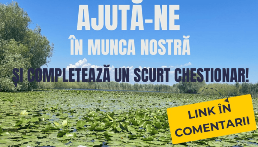 Iti pasa de speciile in pericol de disparitie ARBDD te invita sa participi la un chestionar despre pasari