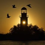 Judetul Tulcea are noua finalisti in competitia Destinatia Anului 2026 Destinatiile candidate foto