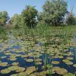 Mii de turisti asteptati de 1 Mai in Delta Dunarii Iata regulile importante pe care nu trebuie sa le neglijezi