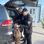 Politistii de frontiera din Isaccea efectueaza verificari constante pentru siguranta calatorilor in timpul sarbatorilor