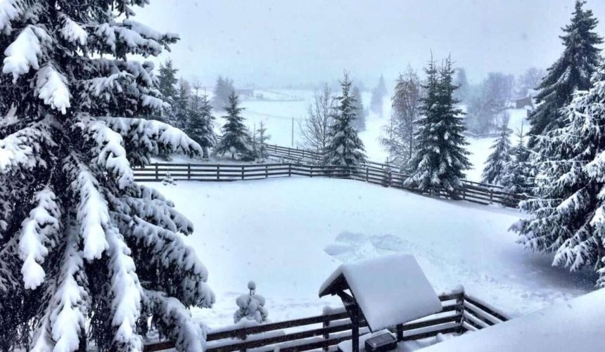 Val de frig aduce ninsori si temperaturi severe sub zero grade in Romania
