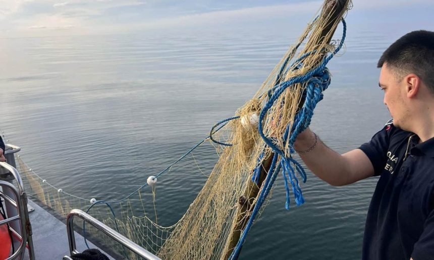 sturioni salvati din capcana mortii descoperirea neasteptata a politistilor de frontiera in marea neagra