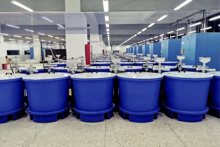 A fost lansat un apel pentru proiecte dedicate fermelor de acvacultura 14 milioane de euro disponibile pentru compensarea impactului de mediu