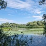 ARBDD aproba doua decolmatari in Delta cu debite mici Cand vor incepe lucrarile