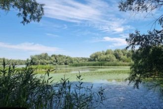 ARBDD aproba doua decolmatari in Delta cu debite mici Cand vor incepe lucrarile
