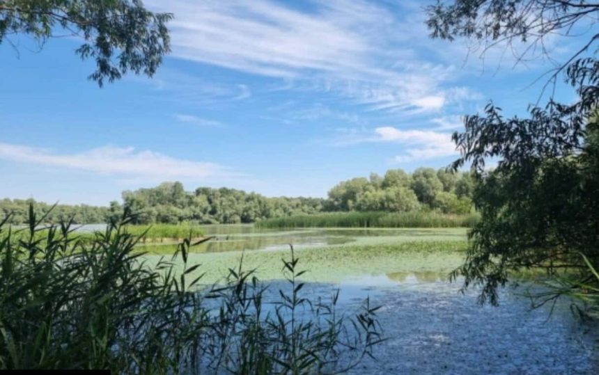 ARBDD aproba doua decolmatari in Delta cu debite mici Cand vor incepe lucrarile