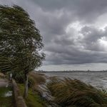Alerta meteorologica in Tulcea Cod galben pentru vant puternic si vijelii