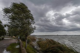 Alerta meteorologica in Tulcea Cod galben pentru vant puternic si vijelii