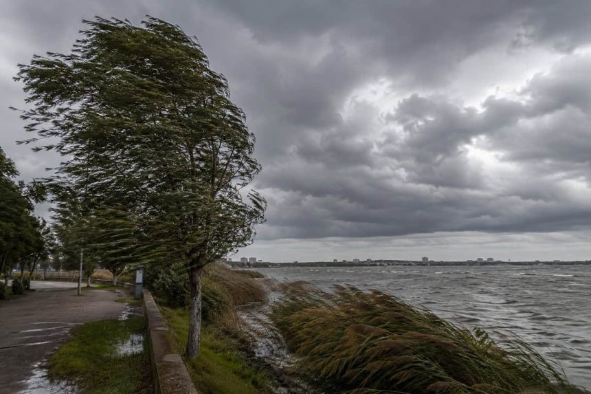 Alerta meteorologica in Tulcea Cod galben pentru vant puternic si vijelii