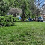 Atentie la parcari Iarba estecosit a in Cartierul Lotizare din Tulcea foto