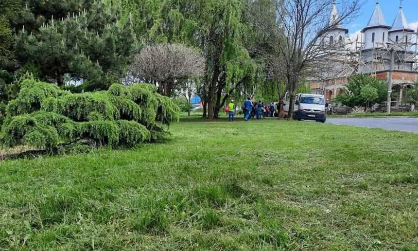 Atentie la parcari Iarba estecosit a in Cartierul Lotizare din Tulcea foto