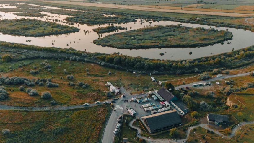 Campania DeltArt revine la Tulcea Ateliere gratuite si premii in valoare de peste 4000 de lei