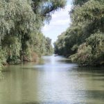 Canalul Uzlina sufocat de namol de ce decolmatarea nu mai poate fi amanata