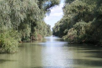 Canalul Uzlina sufocat de namol de ce decolmatarea nu mai poate fi amanata