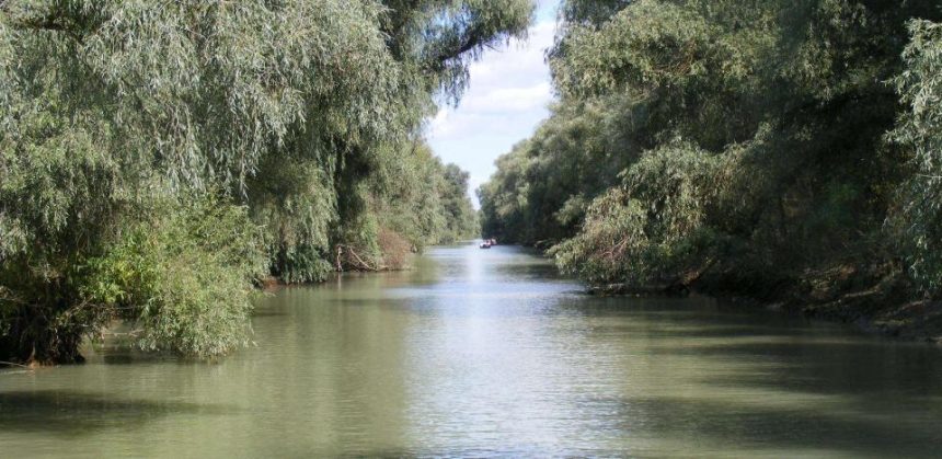 Canalul Uzlina sufocat de namol de ce decolmatarea nu mai poate fi amanata