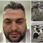 Cristian Geambazu intangibil la Daeni cine este responsabil pentru cainii din adapost