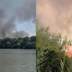 Incendiu in Delta Dunariei Pompierii intervin cu o ambarcatziune langa Chilia Veche video