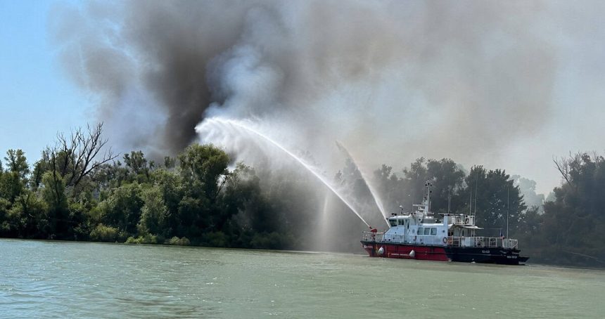 Incendiul din Tulcea inca activ dupa doua zile 1500 de hectare afectate in zona Ostrovului Babina video