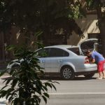 Inselatorie la Tulcea Falsi angajati ai Serviciilor Publice vand magnolii portocalii