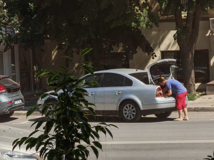 Inselatorie la Tulcea Falsi angajati ai Serviciilor Publice vand magnolii portocalii