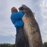 Monstrul Dunariei adus la suprafata O noua captura impresionanta pentru un tulcean video