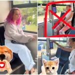 O tanara din Tulcea protagonista unei campanii inedite pe TikTok Yeliz inva bunele maniere in autobuze