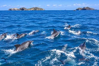 Oceanele lumii au inregistrat temperaturi record in iulie cauzate de fenomenul El Nino