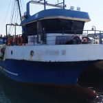 Pescador prins in flagrant pentru pescuit ilegal in zona Sulina detinea doua tone de rapana foto