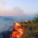 Peste 500 de incendii in weekend cu 2300 de hectare distruse la nivel national
