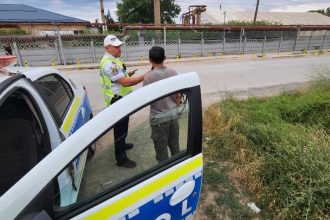 Raid la Macin pe transporturile de lemn 7 amenzi aplicate si 3 permise suspendate
