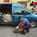 Sase romani prinsi pescuind ilegal in raul Po cu ajutorul unui pistol electric