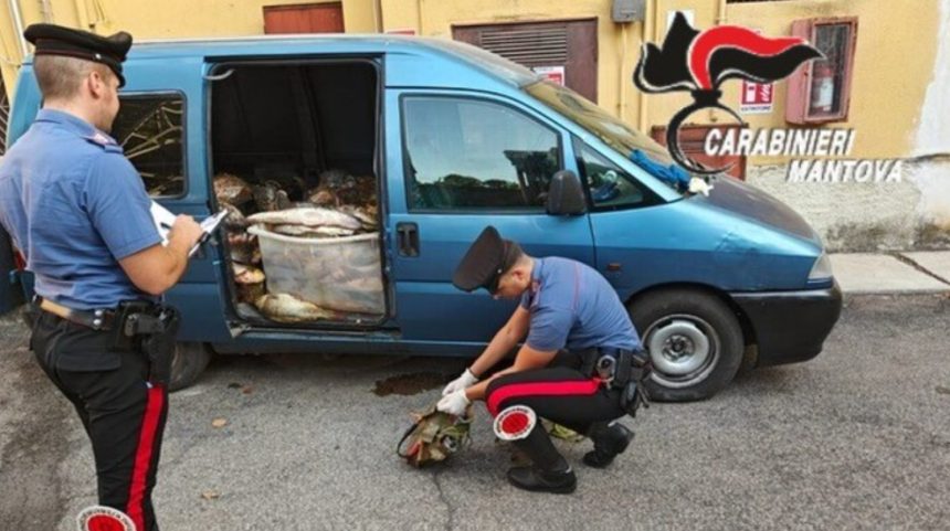 Sase romani prinsi pescuind ilegal in raul Po cu ajutorul unui pistol electric