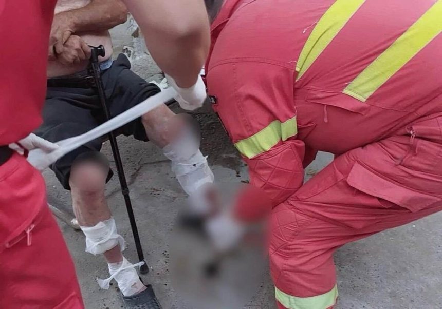 Teroare la Visterna Batrin atacat de caini Haitele sperie satul foto video