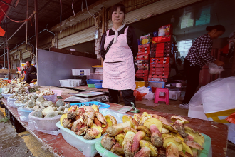 ciuperca care induce halucinatii cu oameni mici tratada anual de sute de chinezi
