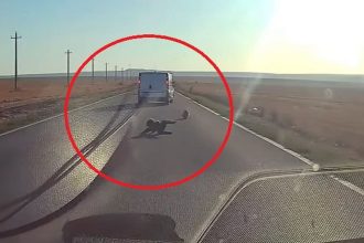 video socant in tulcea un copil la un pas de tragedie dupa ce a cazut dintr o masina in miscare